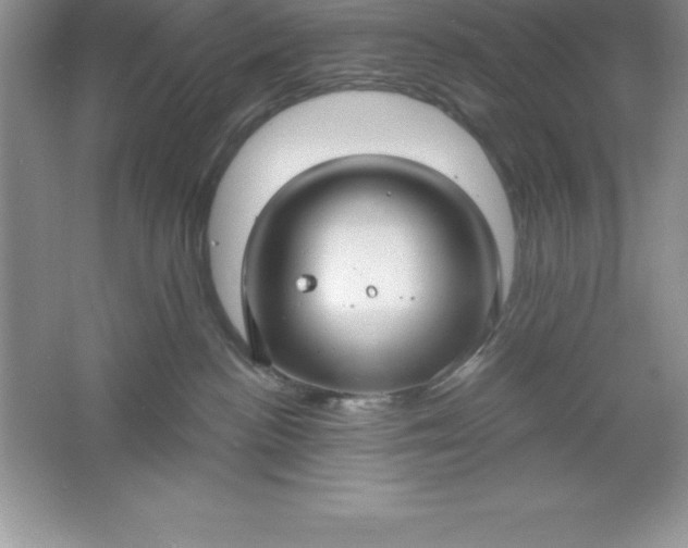 X0000061750188200512161726