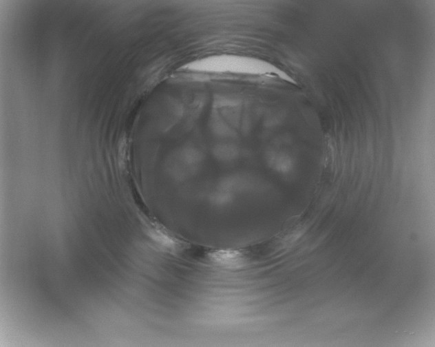 X0000061750189200512161726