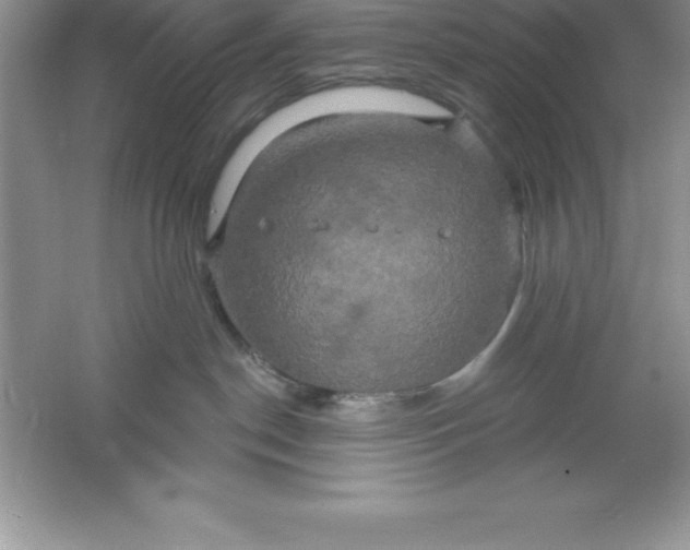 X0000061750190200512161727