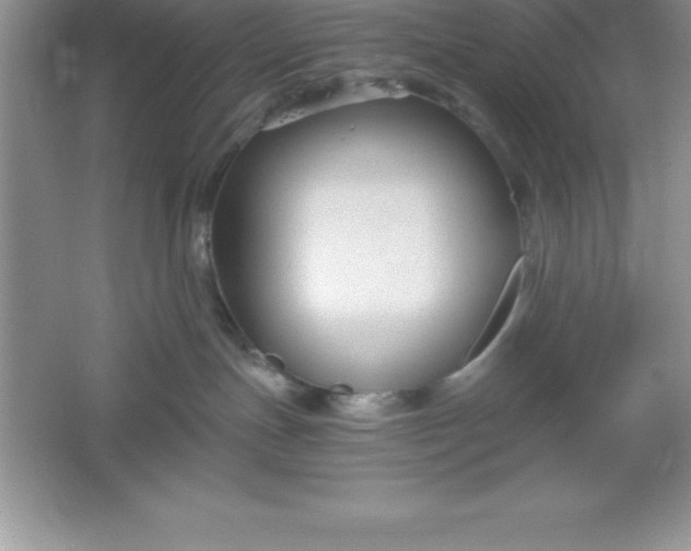 X0000061750191200512161727