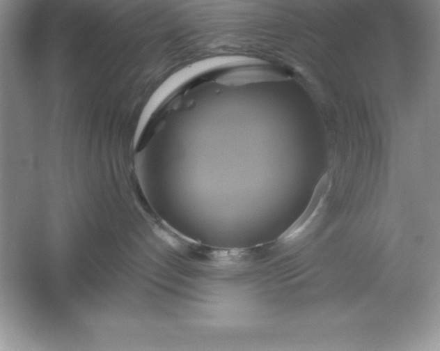 X0000061750192200512161727