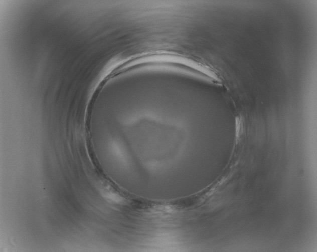 X0000061750195200512161726