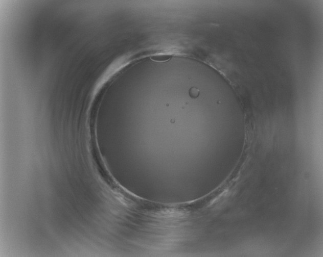 X0000061750198200512161726