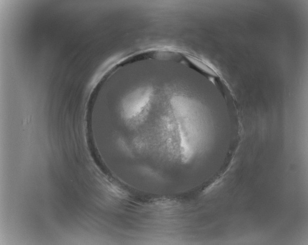 X0000061750199200512161726