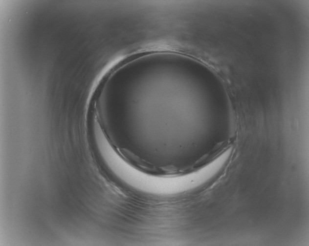 X0000061750200200512161726