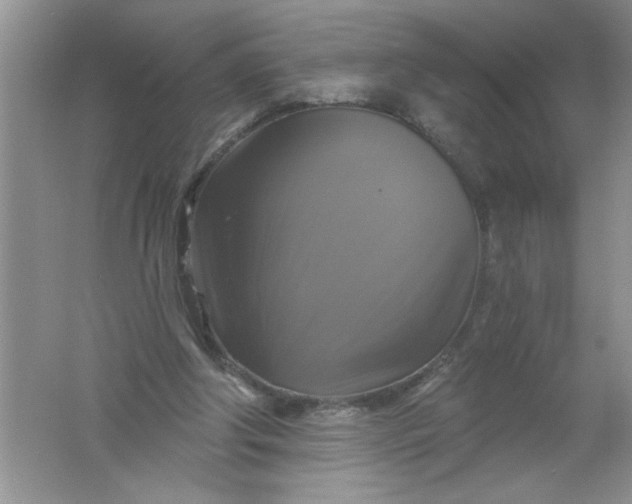 X0000061750202200512161726