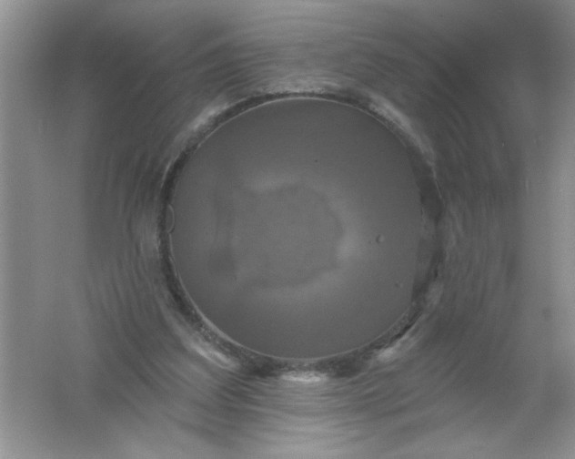 X0000061750203200512161726