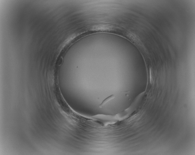 X0000061750204200512161726