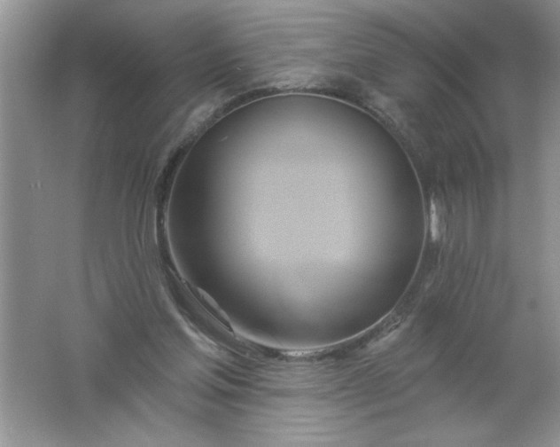 X0000061750205200512161726