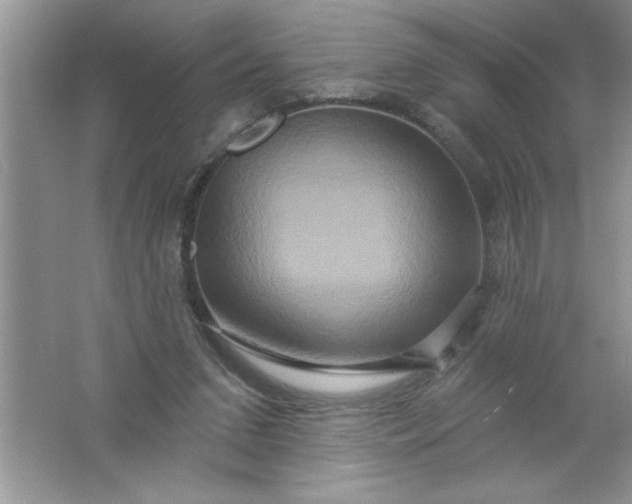 X0000061750207200512161725