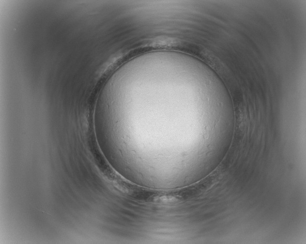 X0000061750208200512161725