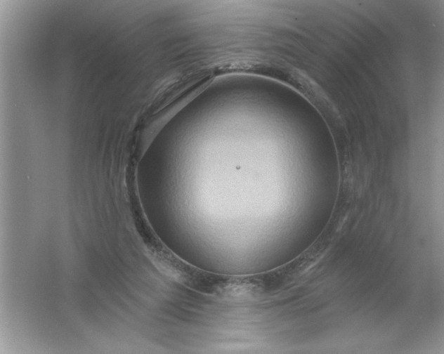 X0000061750209200512161725