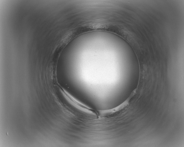 X0000061750210200512161725