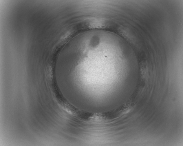 X0000061750211200512161725