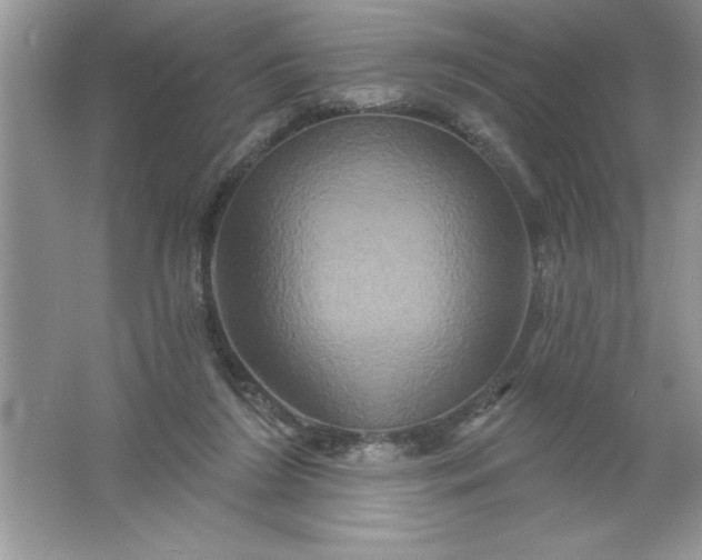 X0000061750212200512161725