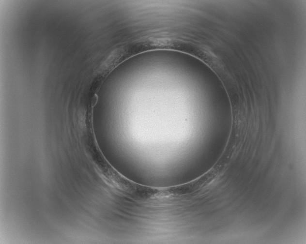 X0000061750213200512161725