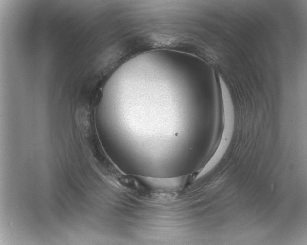 X0000061750215200512161725