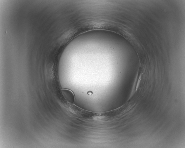 X0000061750216200512161725