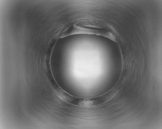 X0000061750217200512161725