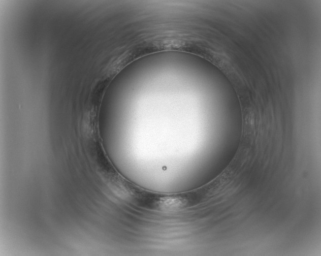 X0000061750218200512161725