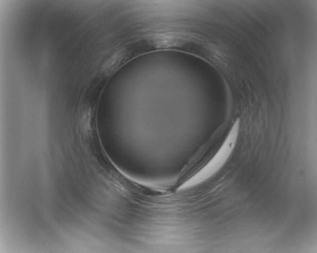 X0000061750219200512161725