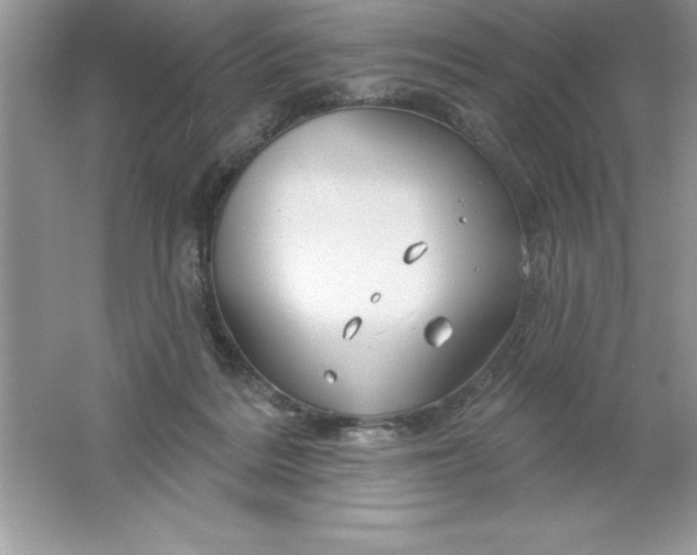 X0000061750220200512161725