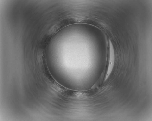 X0000061750221200512161725