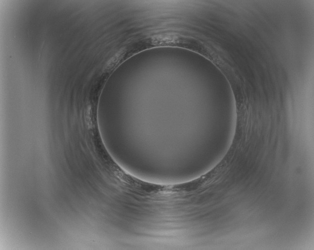 X0000061750224200512161725