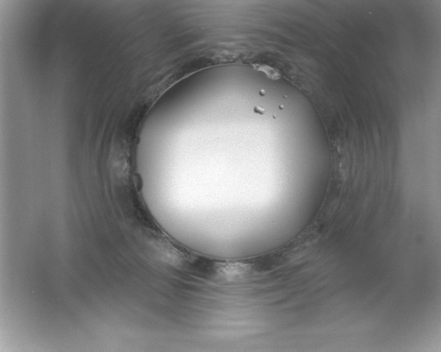 X0000061750226200512161725