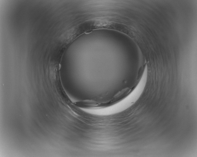 X0000061750227200512161725