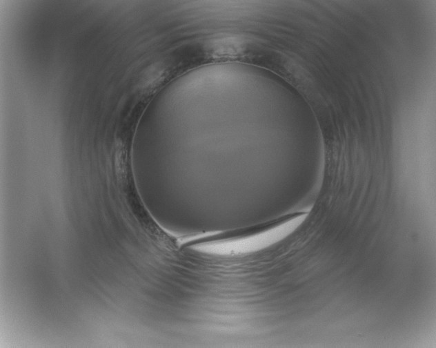 X0000061750228200512161725