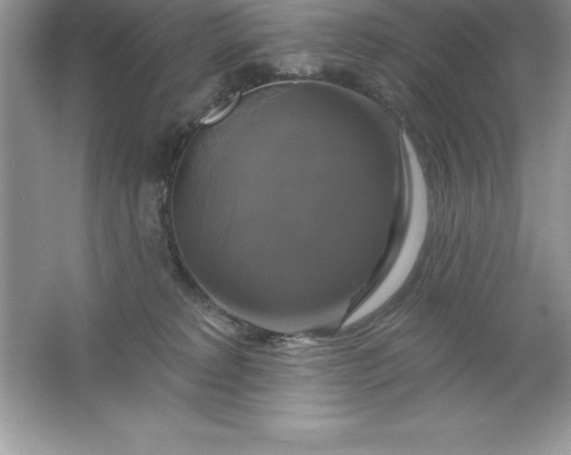 X0000061750229200512161725