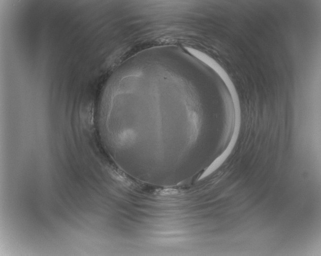 X0000061750230200512161725