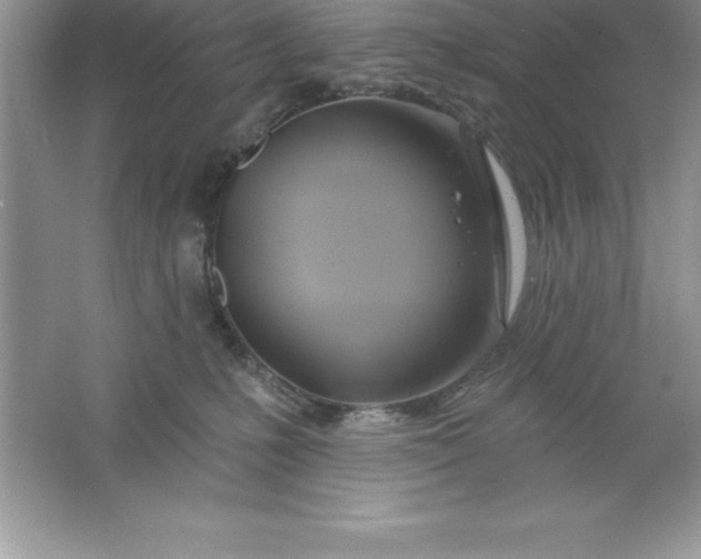 X0000061750231200512161725