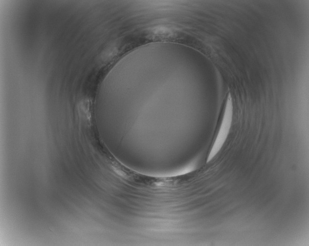 X0000061750232200512161725