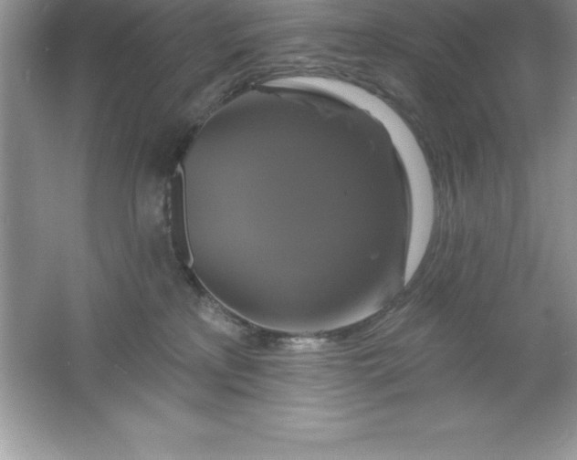 X0000061750233200512161725