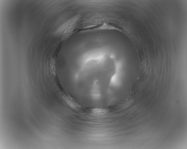 X0000061750234200512161725