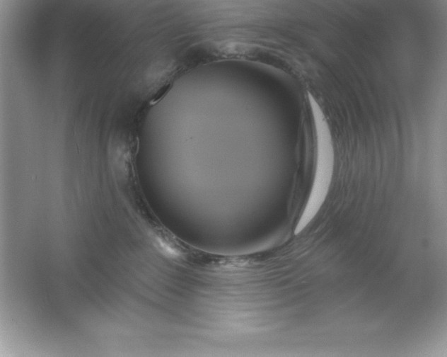 X0000061750235200512161725