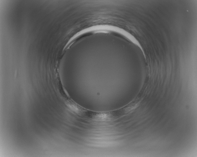 X0000061750237200512161725