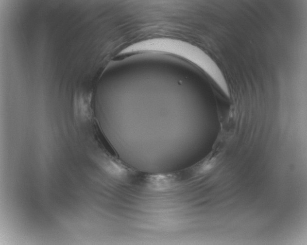 X0000061750239200512161725