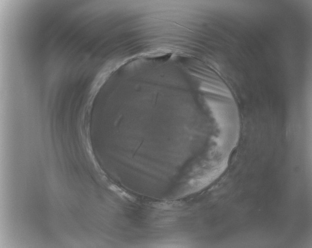 X0000061750241200512161724