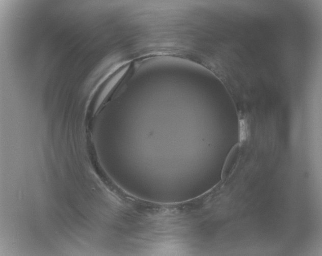 X0000061750243200512161724