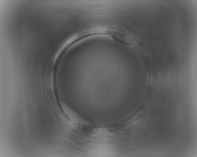 X0000061750244200512161724