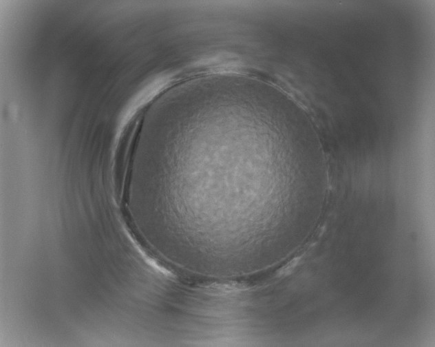 X0000061750245200512161724