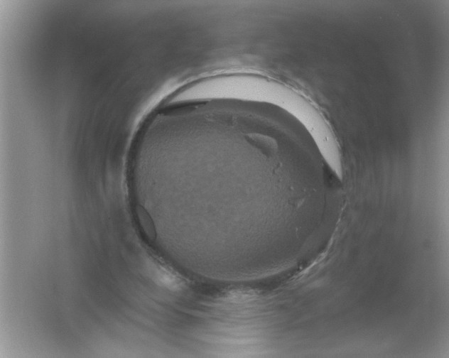 X0000061750248200512161724