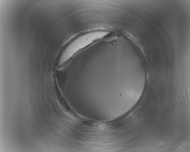 X0000061750249200512161724