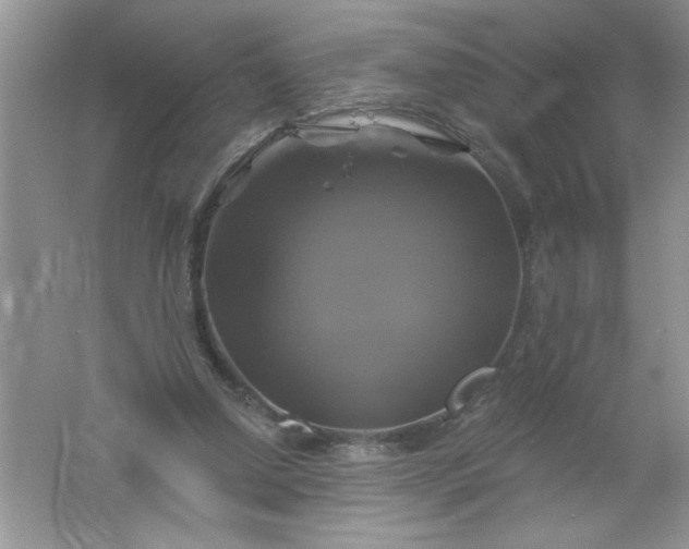 X0000061750250200512161724