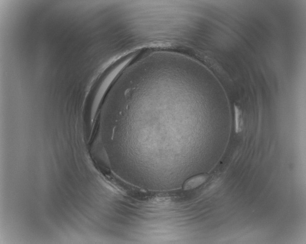 X0000061750252200512161724