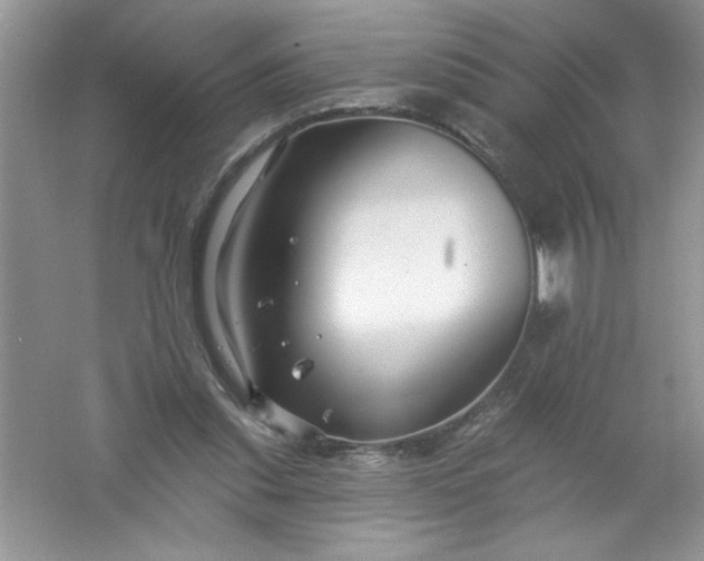 X0000061750253200512161724