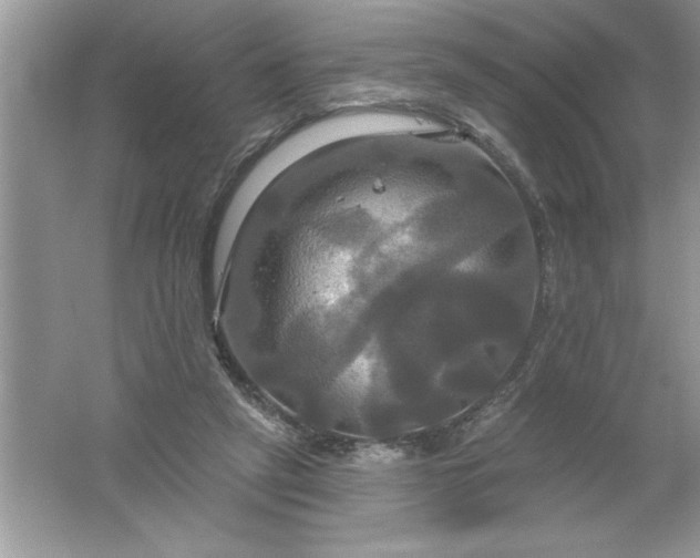 X0000061750257200512161724